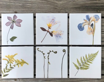 Set of 6 Garden Botanical Ceramic Tiles : Indoor and Outdoor Use, Decorative Tiles