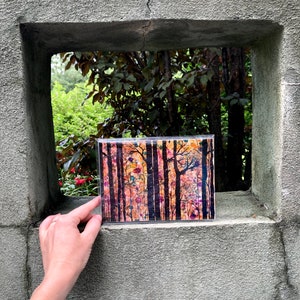 Boxed Gift Set of 4 Forest Art Prints: 5 x 7 Inch Landscape Artwork image 6