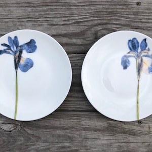 May include: Two white ceramic plates with a blue and yellow iris flower design. The plates are on a wooden surface.