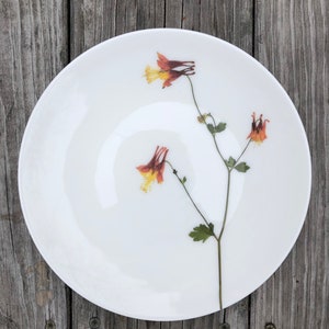 Set of 6 Botanical Porcelain Plates, Fern and Floral Dishes, Durable and Dishwasher Safe image 4
