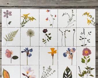 You Pick The Design - Garden Botanical Ceramic Tile : Indoor and Outdoor Use, Decorative Tiles