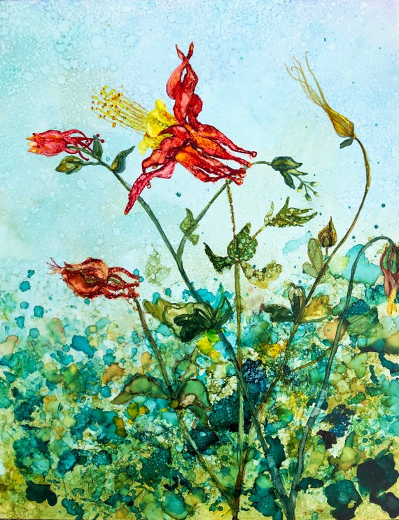 Red Columbine Flowers : Fine Art Print - Etsy