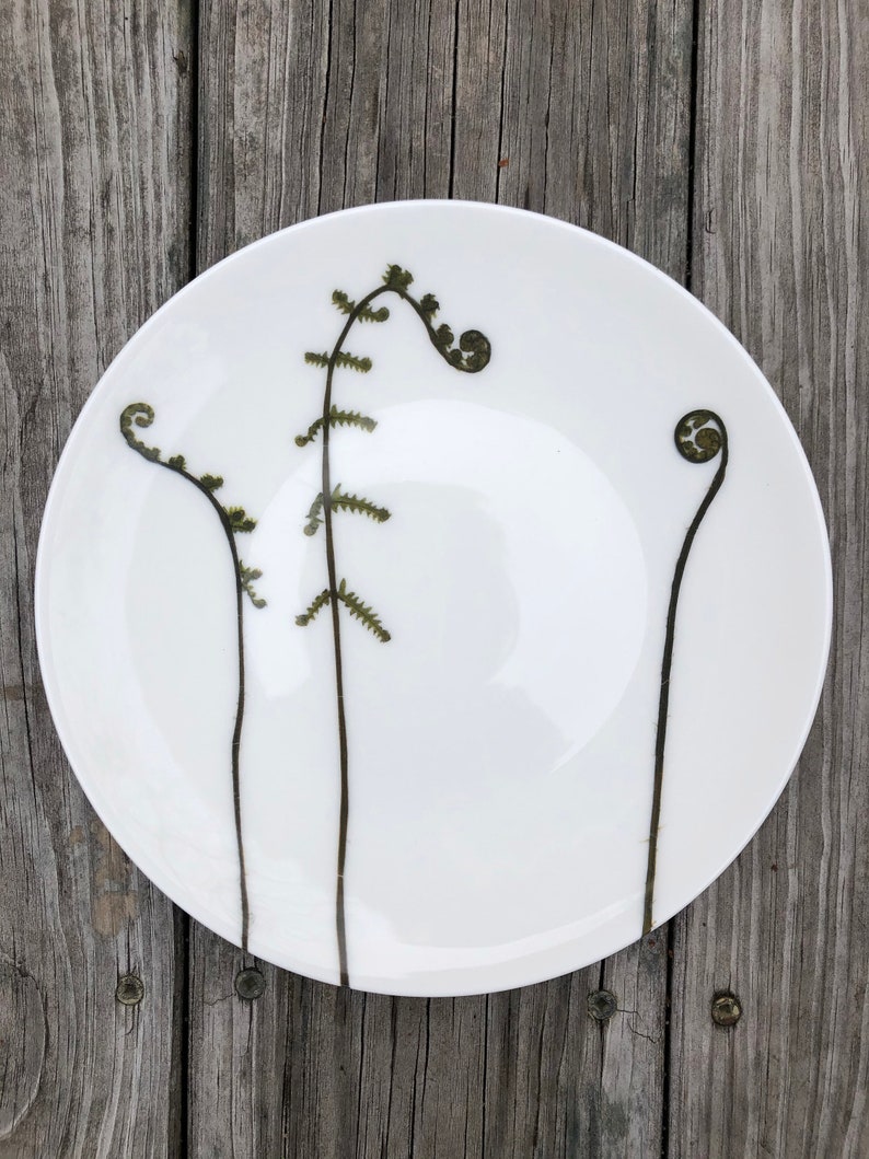 Set of 6 Botanical Porcelain Plates, Fern and Floral Dishes, Durable and Dishwasher Safe image 7