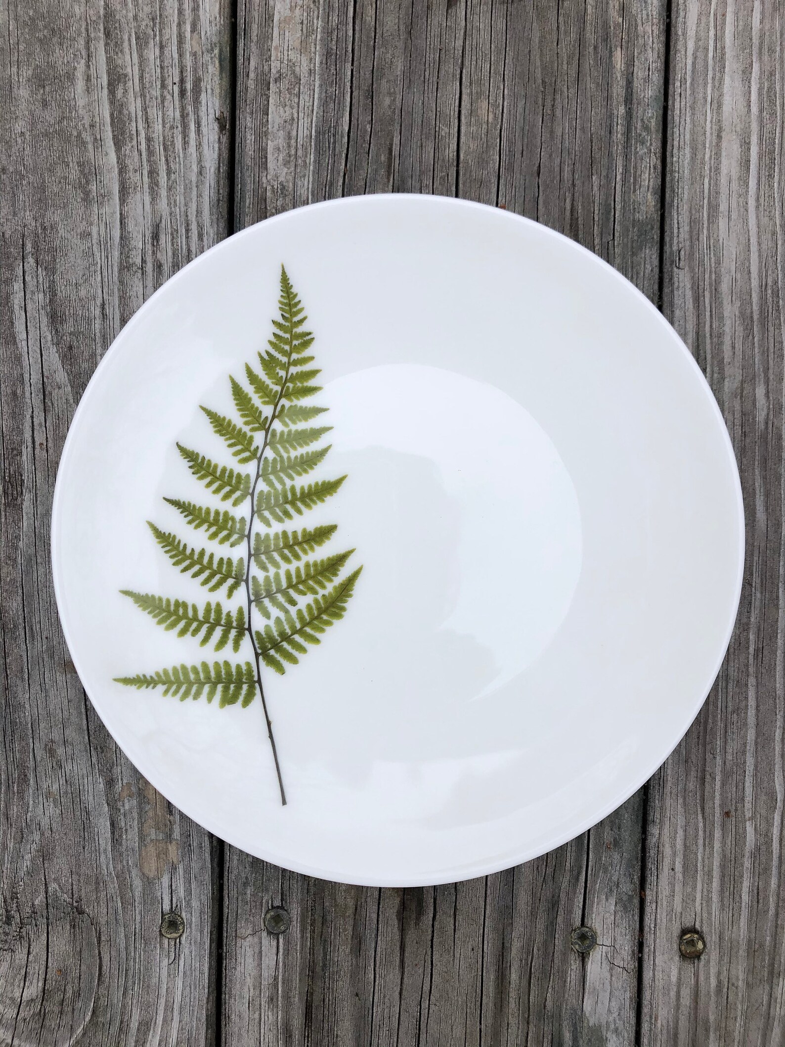 Set of 4 Botanical Porcelain Plates Fern and Floral 8 Inch Etsy