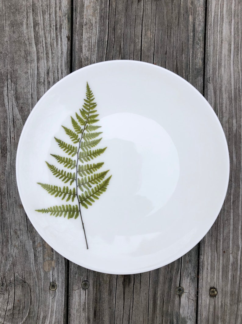 Set of 6 Botanical Porcelain Plates, Fern and Floral Dishes, Durable and Dishwasher Safe image 3