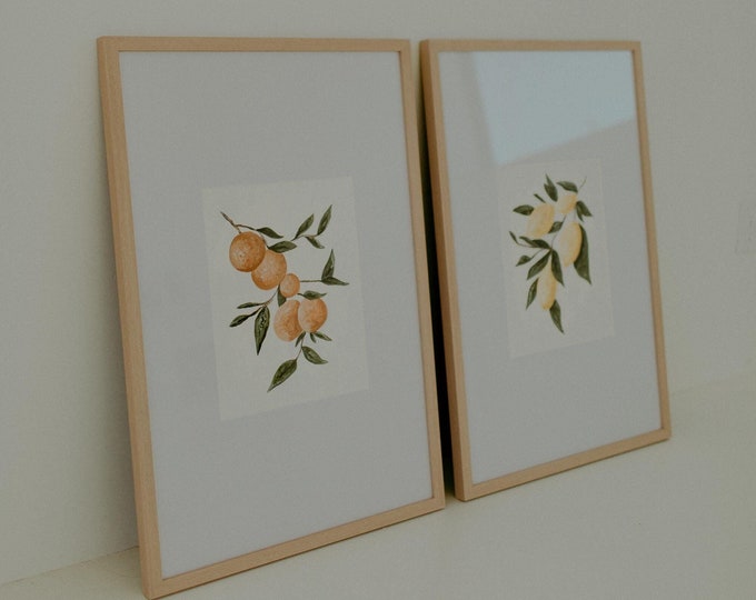 Citrus Bliss Printed Paintings, Christa Suppe Print, Painted Citrus, Citrus Print, Orange Print, Lemon Print, 11x14 Print