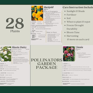 Pollinator-Friendly Garden Plant ID & Care Cards