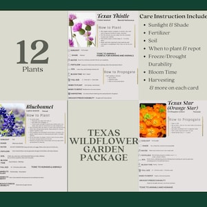 Wildflower Garden Plant ID & Care Cards