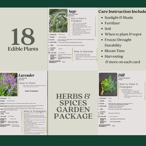 Herbs and Spices Garden Plant ID & Care Cards