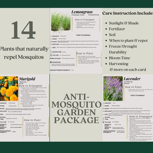 Mosquito-Repelling Plant ID & Care Cards