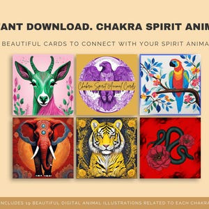 Powerful Spirit Animals Card Chakra Animal Cards Totem Animals Chakra Colours Energy Source Cards Beautiful Images Of Spiritual Animals