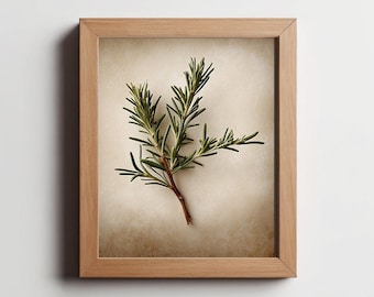 Rosemary Art - Botanical Art - Herb Garden Decor - Wall Art for Kitchen - Dining Room - Rosemary Print - Rosemary Leaves - Kitchen Art