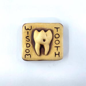 May include: A square, tan-colored ceramic plaque featuring a raised, three-dimensional relief of a molar tooth in the center. The word WISDOM is vertically embossed on the left side, and the word TOOTH is vertically embossed on the right side.