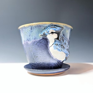 May include: A handcrafted ceramic planter with a blue jay design. The planter features a textured, glazed finish in shades of blue and purple, with a detailed blue jay sculpture on the side. Includes a matching saucer. Ideal for small plants.