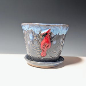 May include: A ceramic planter with a detailed red cardinal bird sculpture. The planter is dark blue with a light blue rim and a matching saucer. The bird is perched on the side of the planter, adding a touch of nature-inspired decor.
