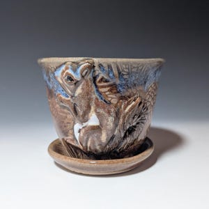May include: A ceramic planter with a detailed relief of a squirrel. The planter is brown with blue accents and sits on a matching saucer. The squirrel is depicted in a naturalistic style, adding a touch of nature to any space.