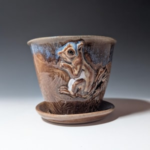 May include: A brown ceramic planter with a detailed relief of a squirrel. The planter has a matching saucer and features blue accents around the rim. The squirrel is depicted in a naturalistic style, adding a touch of woodland charm.