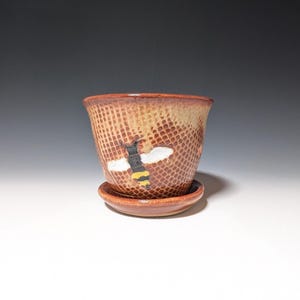 May include: A ceramic plant pot with a matching saucer, featuring a textured honeycomb pattern in shades of brown and tan. A hand-painted bee with black, yellow, and white details is centered on the exterior surface of the tapered vessel.