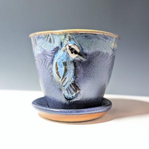 May include: A ceramic planter with a blue jay design. The planter is a deep blue with a textured surface and a sculpted blue jay on the side. It includes a matching saucer. The rim and saucer edge have a brown glaze.