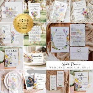 Wildblumen-Hochzeits-Bundle-Vorlage, druckbares Hochzeitseinladungs-Bundle, Boho-Blumenhochzeits-Einladungsset, bearbeitbares großes Hochzeits-Bundle