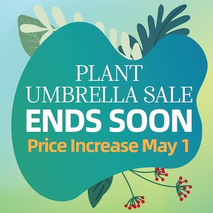 May include: A promotional graphic with a teal and green background. The text "PLANT UMBRELLA SALE ENDS SOON" is displayed in white, with "Price Increase May 1" in orange. Decorative plant elements frame the text.