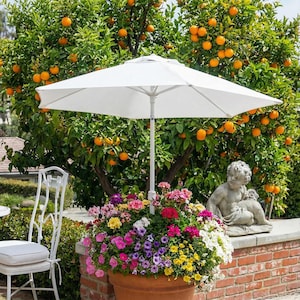 Plant Umbrellas for Shade - Etsy