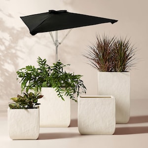 May include: A collection of four off-white square planters with a textured, matte finish. Two planters contain green foliage, while two are empty. A black patio umbrella with a silver metal pole stands behind the planters.