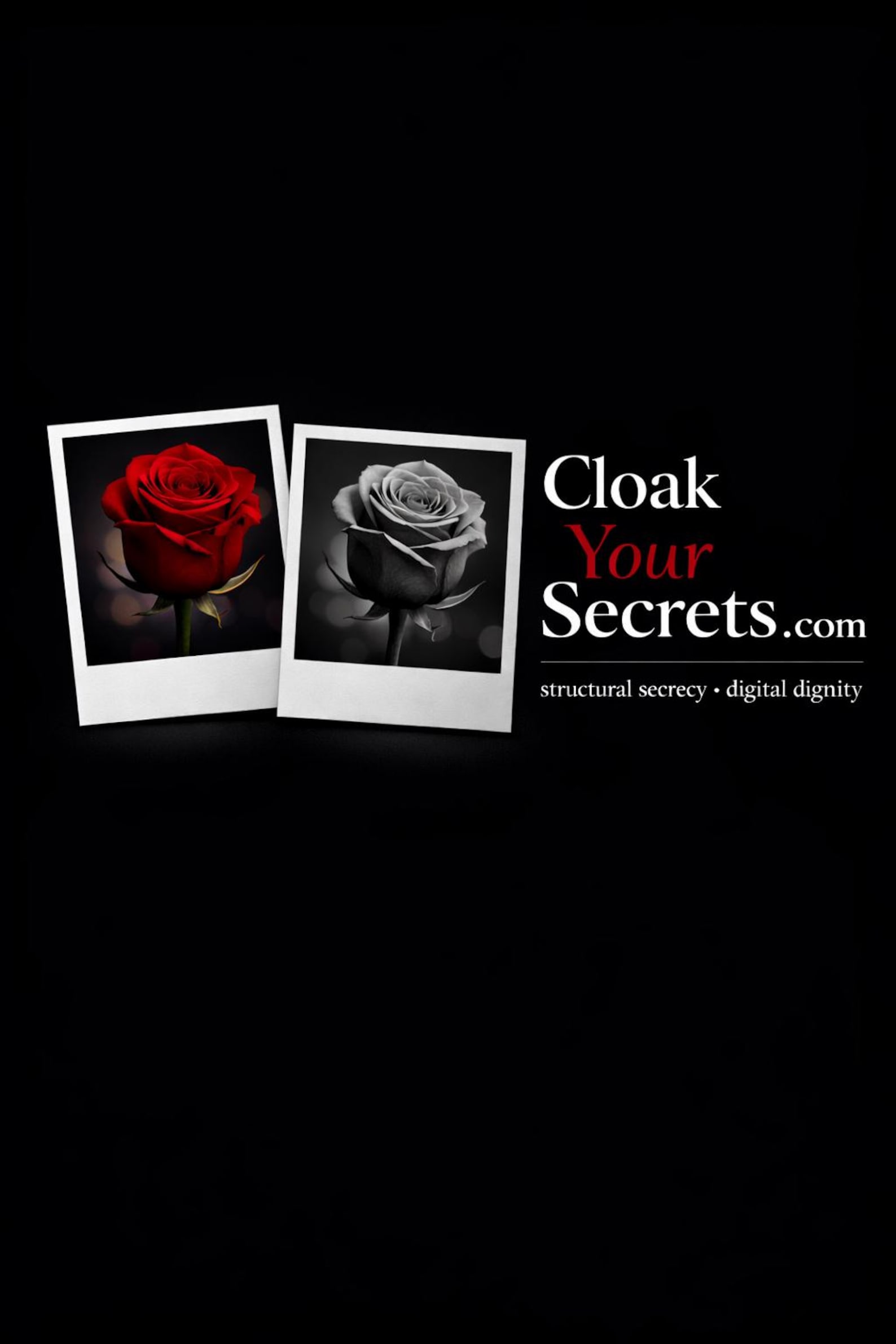 Secrets & Source Code — back cover