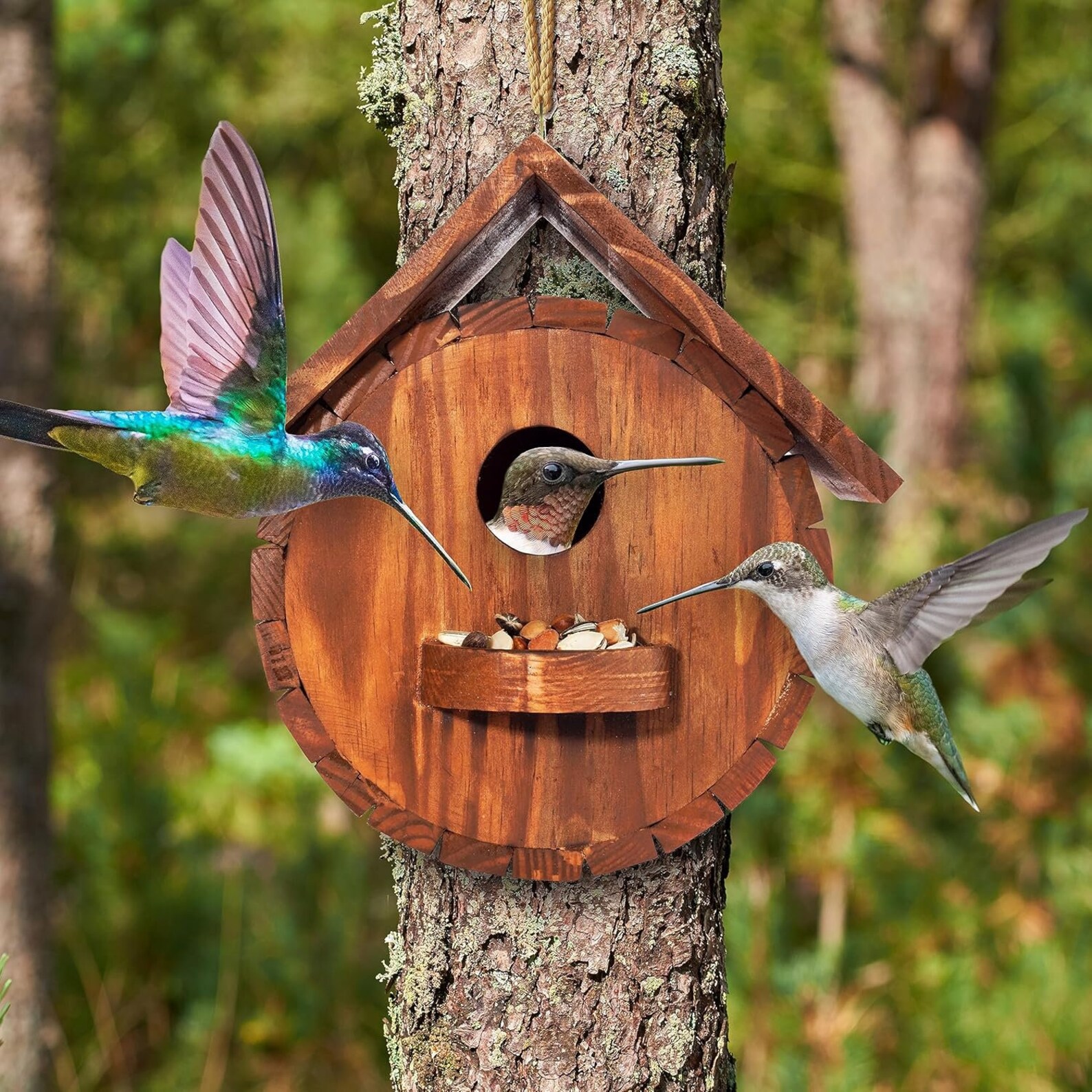 Large Bird Houses For Outside,Bird Houses For Outside,Bird House Room For Bird Families Bluebird Finch Cardinals Wooden Hanging Birdhouse For Garden(6 Room 8*6*5in)from ANMUYUM