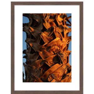 Palm tree digital print - decor