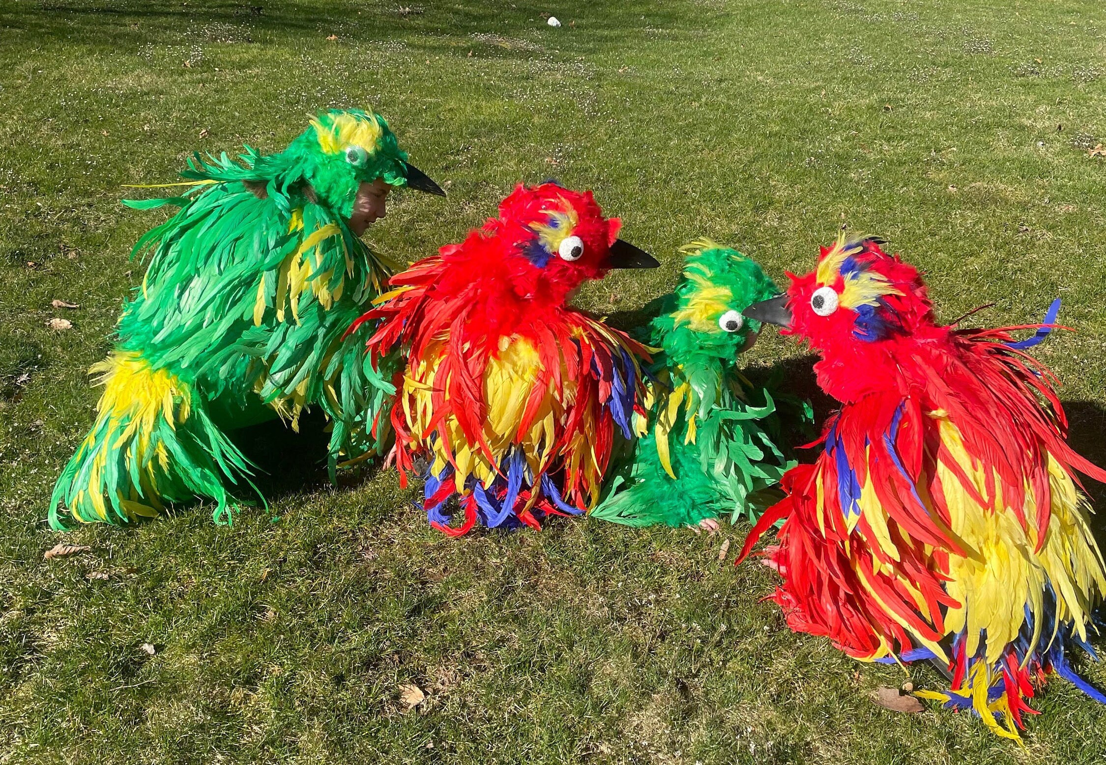 Kids Parrot Costume Etsy UK