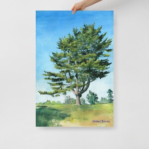 Tranquil White Pine - Stampa artistica su carta opaca - Qualità giclée - Opera d'arte originale a guazzo - Ottimo regalo per gli amanti degli alberi!