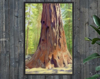 Stor röd mammutträd - Inramat papperstryck - Giclée-kvalitet - "Sequoia Sanctuary"-serien - Perfekt present till trädälskare!