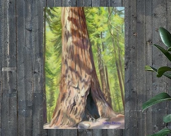 Spräcklig Sequoia - Konsttryck på matt papper - Giclée-kvalitet - "Sequoia Sanctuary"-serien - Perfekt present till trädälskare!