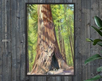 Fläckig Sequoia - Inramat papperstryck - Giclée-kvalitet - "Sequoia Sanctuary"-serien - Perfekt present till trädälskare!