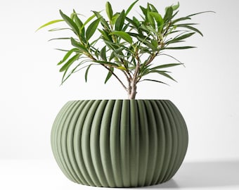 Flowerpot plant pot with drainage and stand for plants and succulents / table decoration / decoration / pampas grass / table decoration