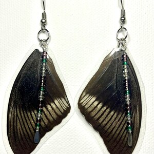 Asian Swallowtail Butterfly Wing Earrings - Style 2