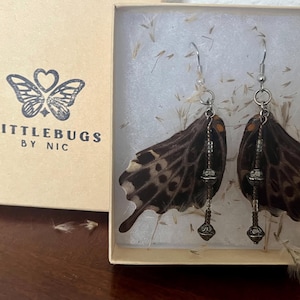 Swallowtail Butterfly Wing Earrings