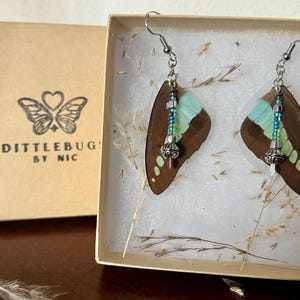Blue Bottle Butterfly Wing Earrings - Style 3