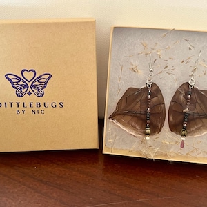 Canopy Brush-Footed Butterfly Wing Earrings - Style 2