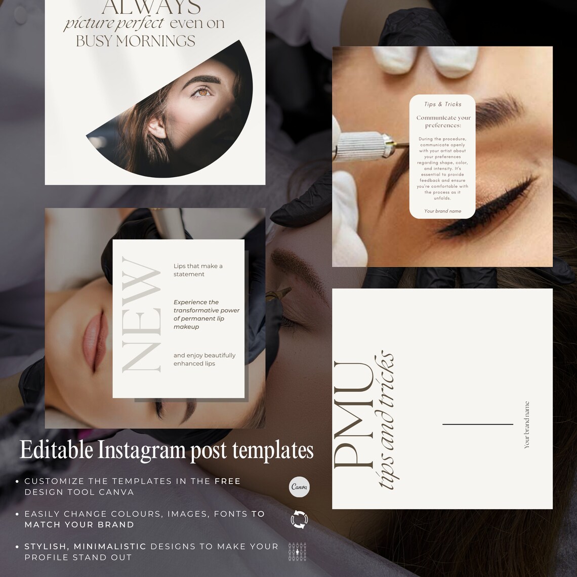 PMU Social Media Templates With Master Resell Rights MRR Templates