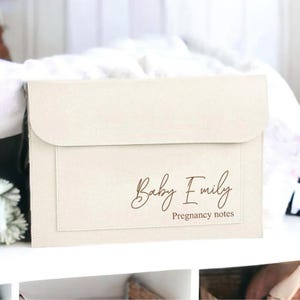 Può includere: Una cartella in feltro beige con il testo "Baby Emily Pregnancy notes" stampato in marrone sul davanti.