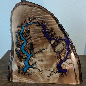 Leichtenberg fractal burned wood resin art
