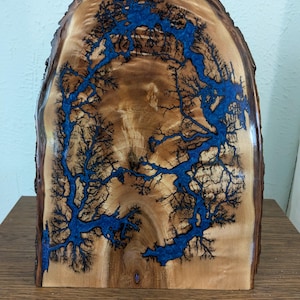 Leichtenberg Fractal burned wood resin art
