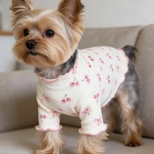 May include: A small dog wearing a cream-colored dog shirt with a pink cherry pattern. The shirt has ruffled edges and long sleeves. The dog has brown and tan fur and is standing on a neutral-colored couch.