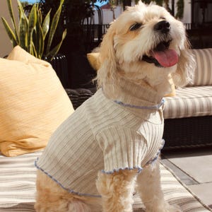 Cute Ribbed Pet Sweater, Dog Tops, XS-XL, Dogs Tee, Dog Outfit,  Clothes Small Pets, Puppy Vest, Dogs Shirt, Boys Girl Dogs Cotton top - TCP