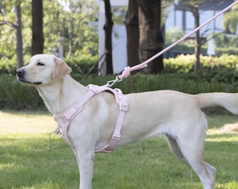 Correa para perros, correa de 1,5 m, para exteriores, correa de nailon para mascotas, correa para pasear, correa para mascotas en colores pastel modernos, correa para mascotas al aire libre, correa con hebilla de metal dorado