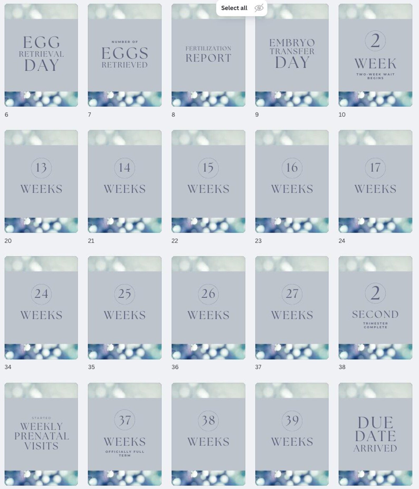 70 IVF Pregnancy Milestone Cards - Etsy