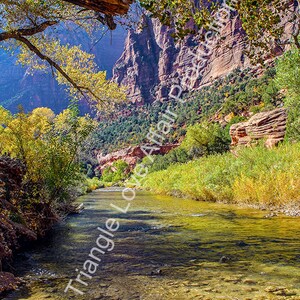 Zion National Park #1