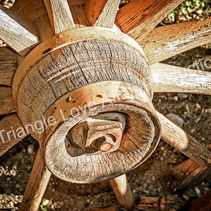 Wagon Wheel Hub Found at Tortilla Flat